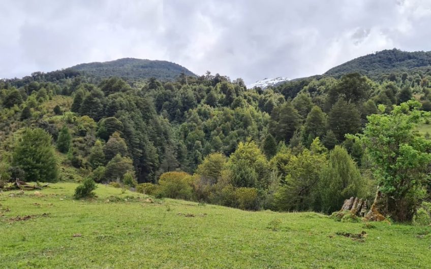 SE VENDE HERMOSO TERRENO DE 305HÁ