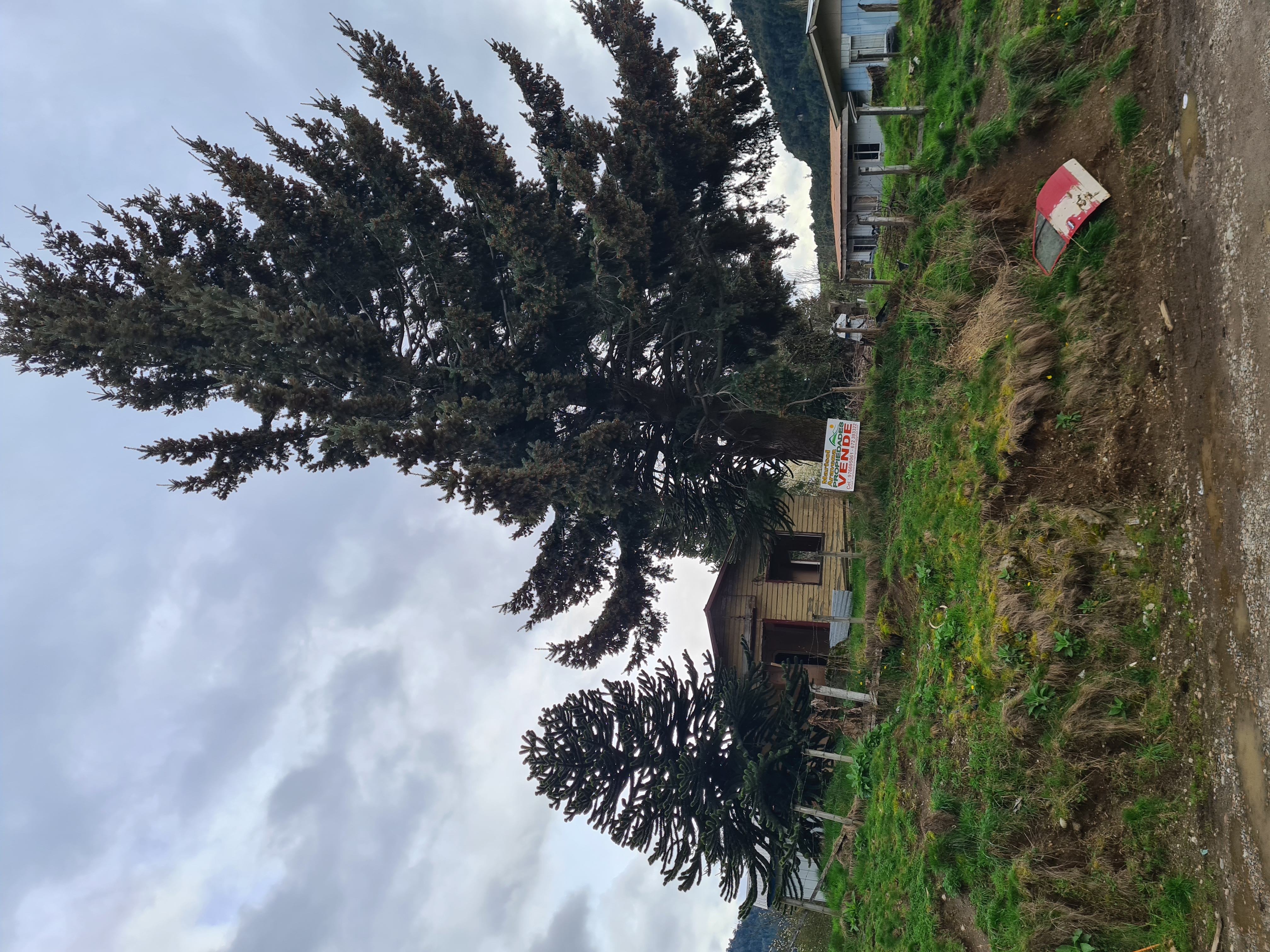 Surrounding neighborhood of the land in Puerto Aysen