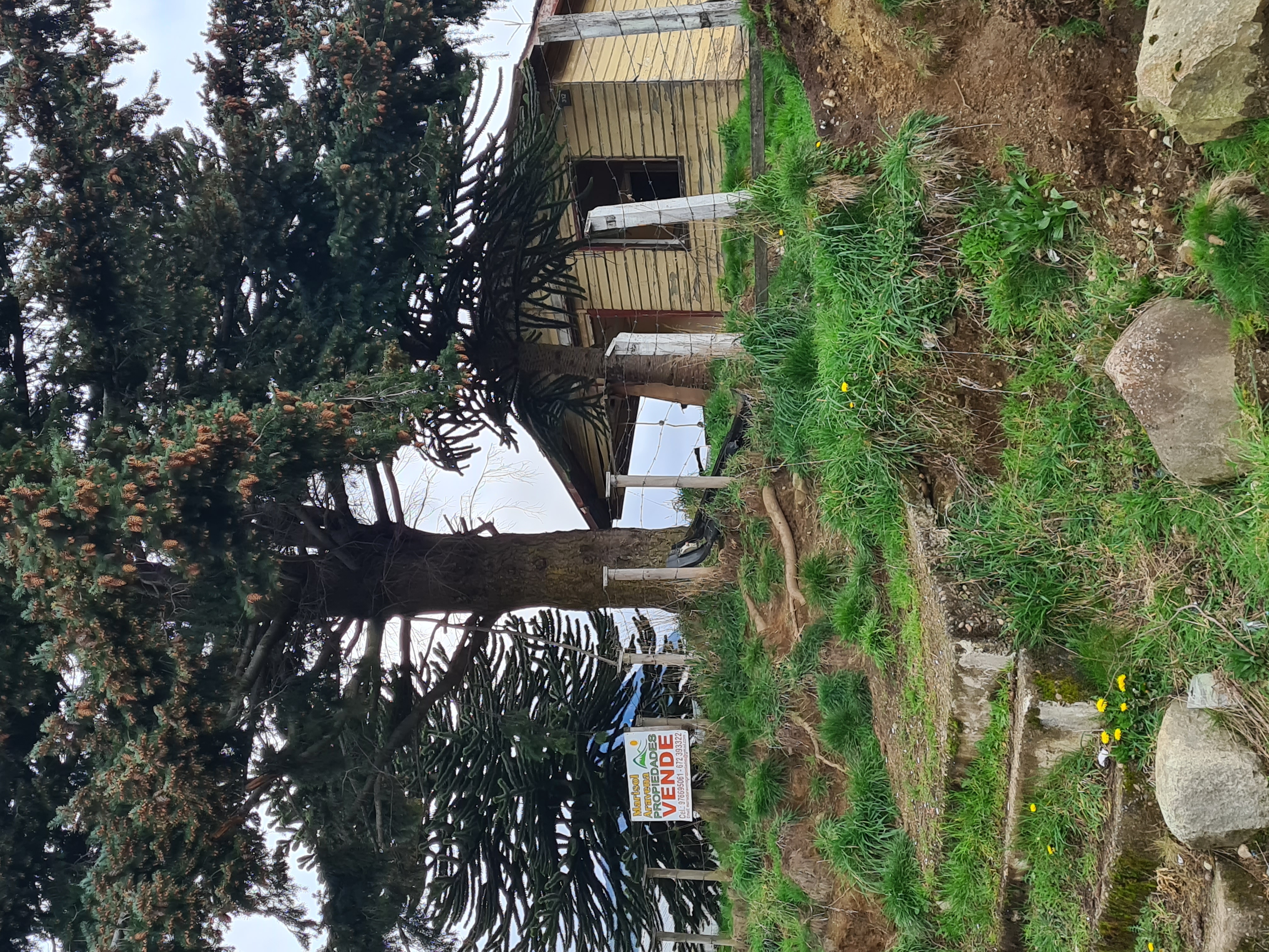 View of the land's boundaries in Puerto Aysen