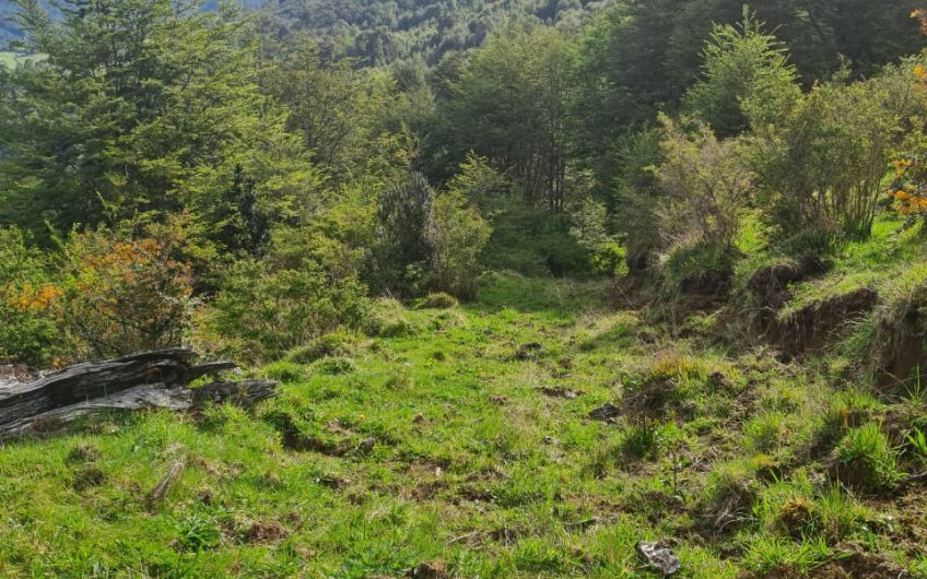 SE VENDE HERMOSO TERRENO DE 305HÁ