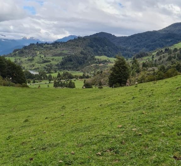 SE VENDE HERMOSO TERRENO DE 305HÁ