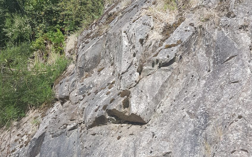 SE VENDE TERRENO DE 6 HÁ