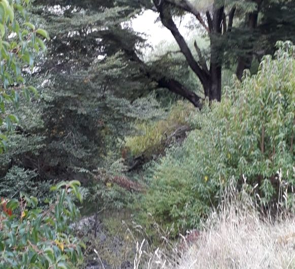 SE VENDE TERRENO DE 6 HÁ