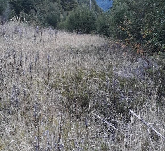 SE VENDE TERRENO DE 6 HÁ