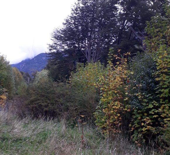 SE VENDE TERRENO DE 6 HÁ