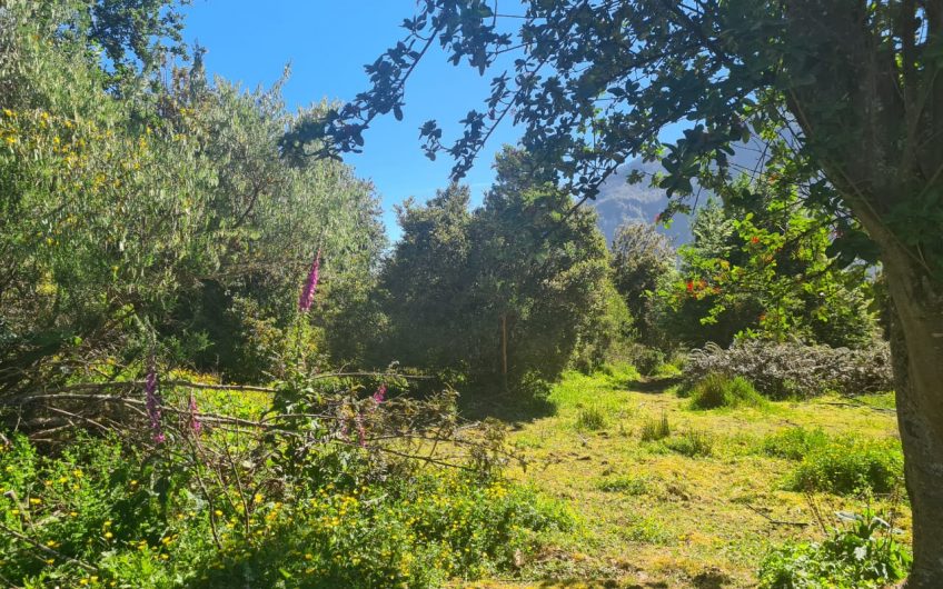 SE VENDE SITIO ERIAZO DE 8.000 MT2.