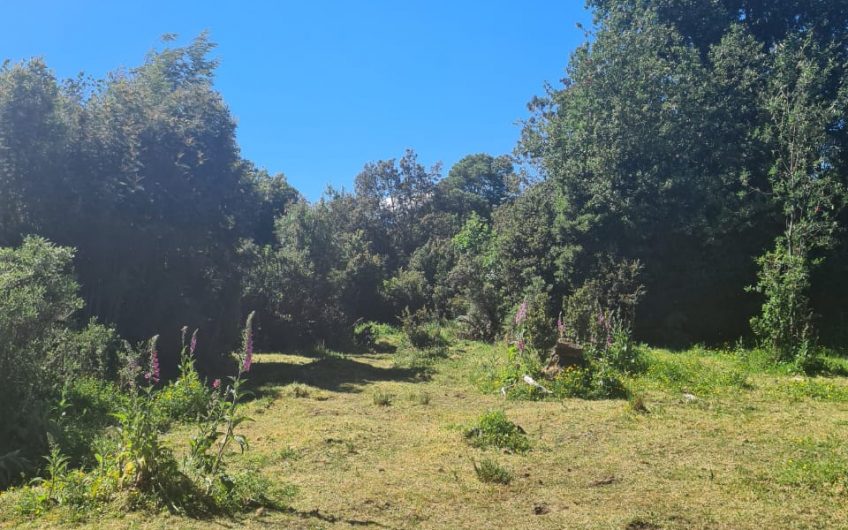 SE VENDE SITIO ERIAZO DE 8.000 MT2.