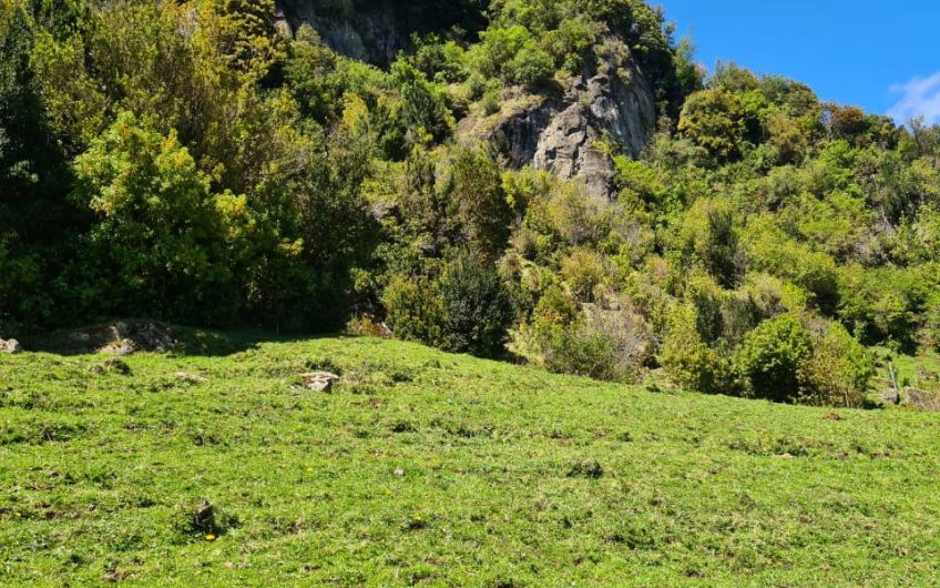 VENDE TERRENO 83 HECTAREAS