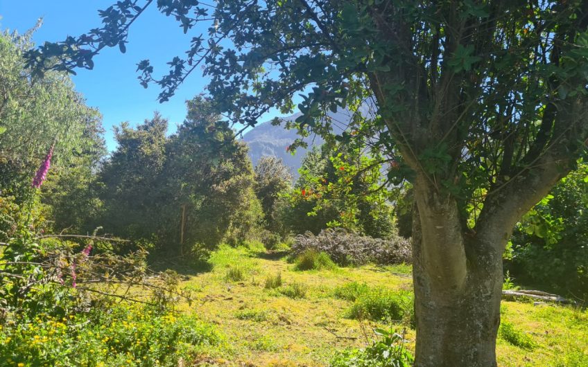 SE VENDE SITIO ERIAZO DE 8.000 MT2.