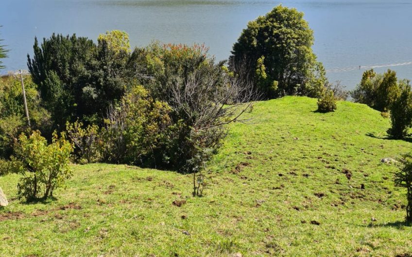 VENDE TERRENO 83 HECTAREAS
