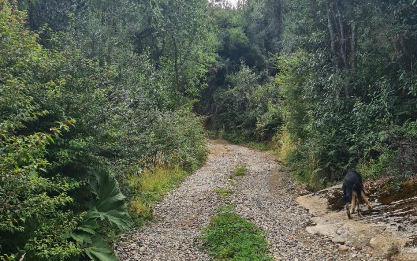 SE VENDE TERRENO DE 5.000 M2.