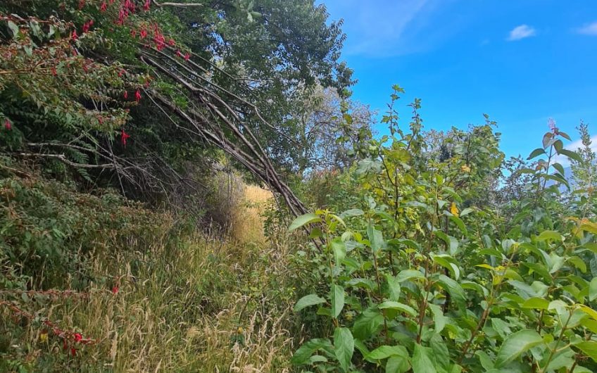 SE VENDE TERRENO DE 5.000 M2.