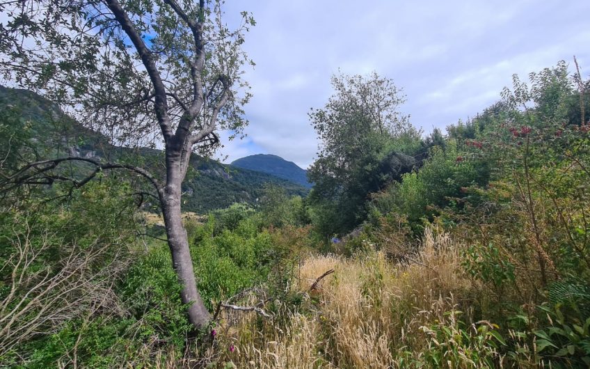 SE VENDE TERRENO DE 5.000 M2.