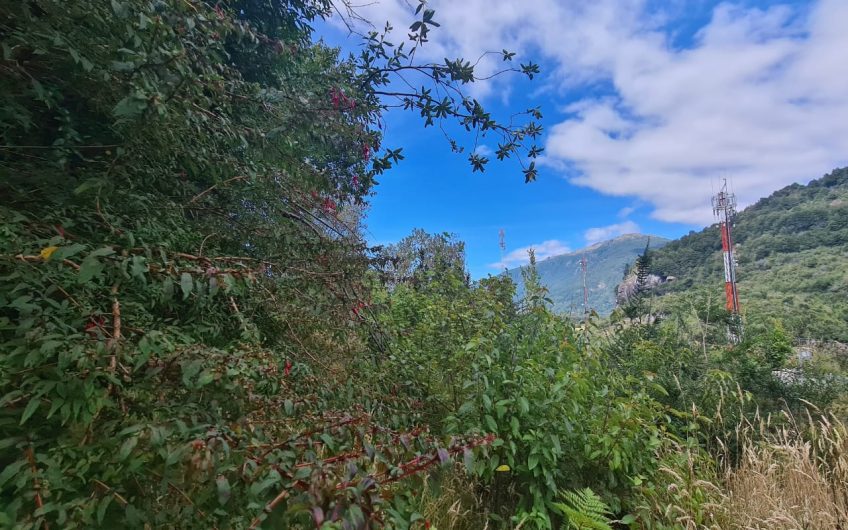 SE VENDE TERRENO DE 5.000 M2.