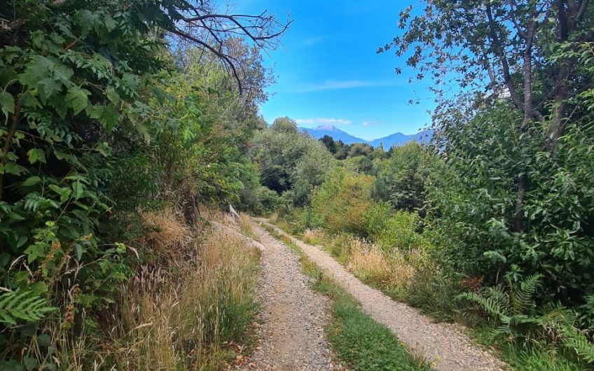 SE VENDE TERRENO DE 5.000 M2.