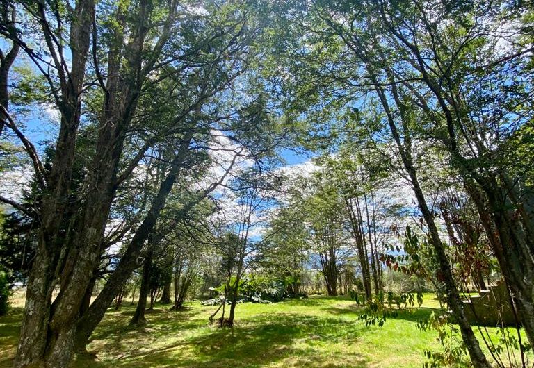 SE VENDE TERRENO DE 5.000 M2.