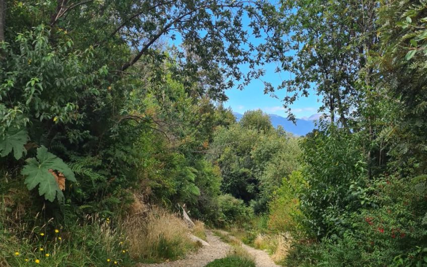 SE VENDE TERRENO DE 5.000 M2.