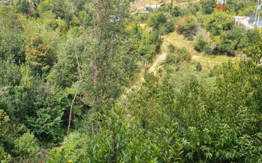 SE VENDE TERRENO DE 5.000 M2.