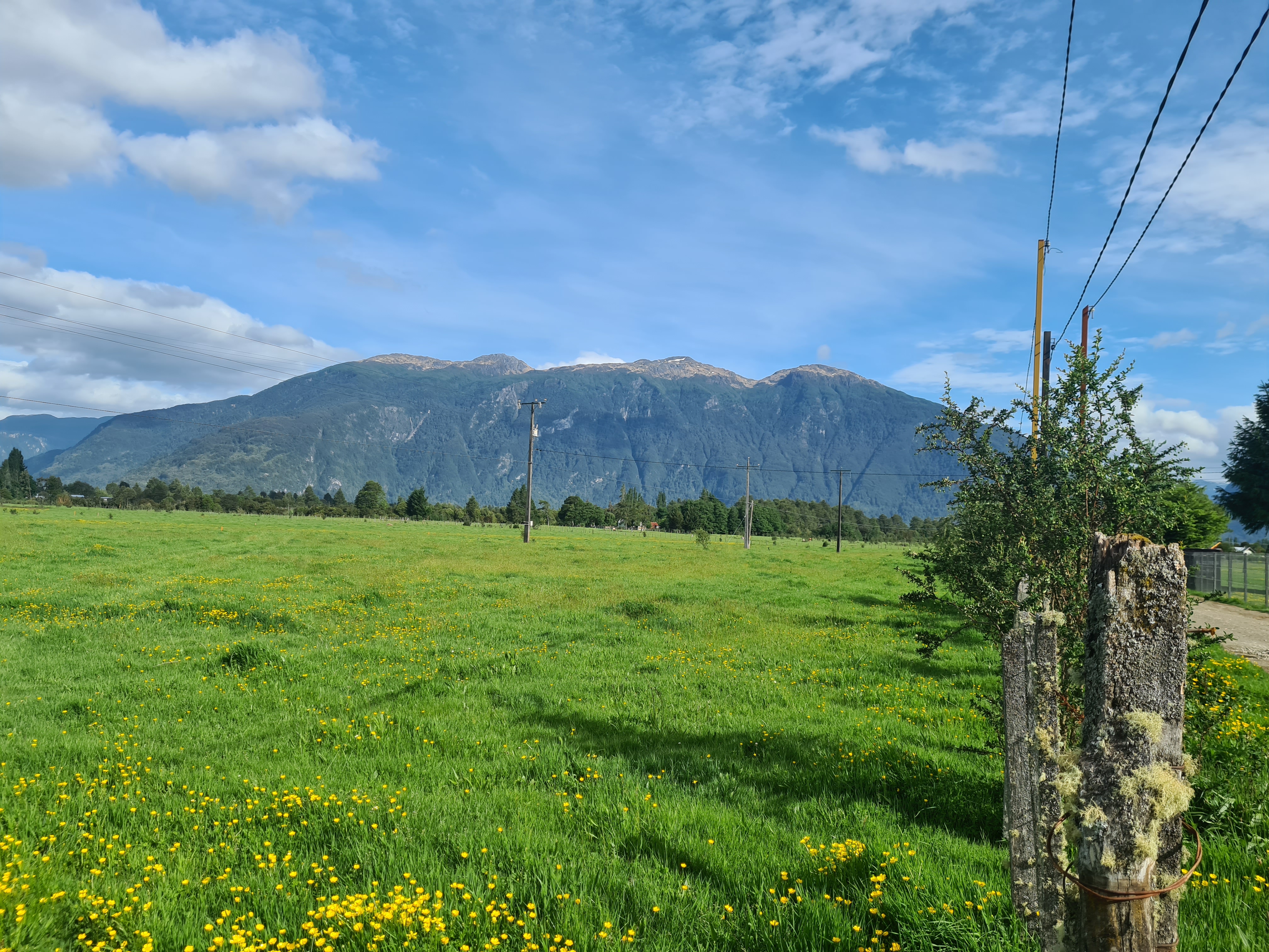 A wide shot of the land parcel showing its boundaries and potential building sites