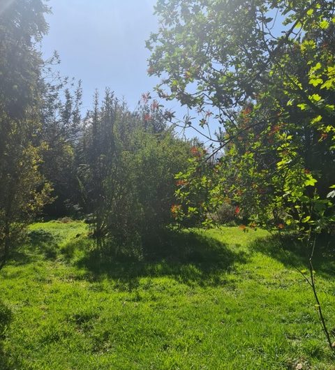 SE VENDE TERRENO DE 8.000 m2. URBANIZADO