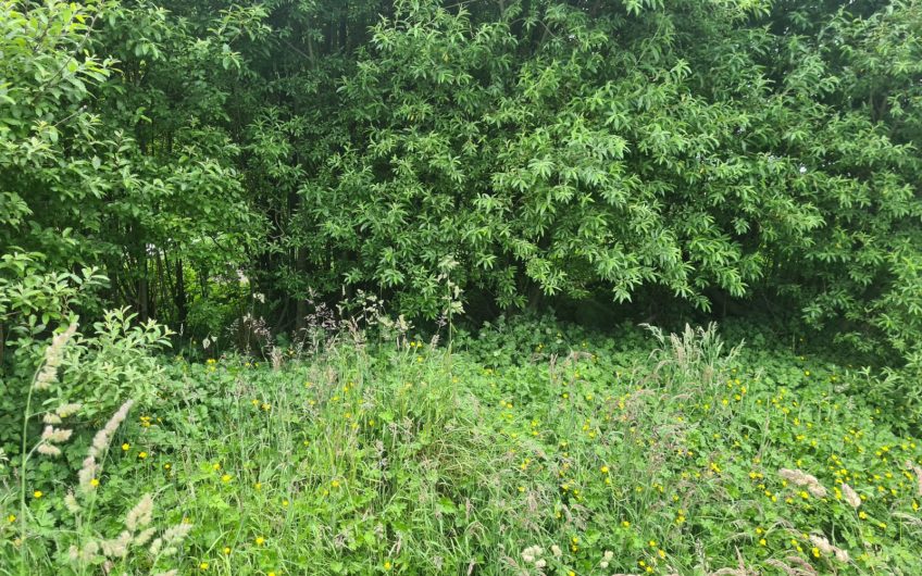SE VENDE SITIO EN PTO. AYSEN