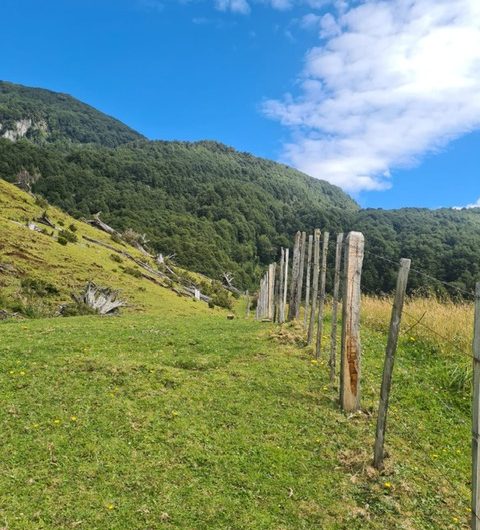 Se vende terreno de 50 hás. En Patagonia Chilena