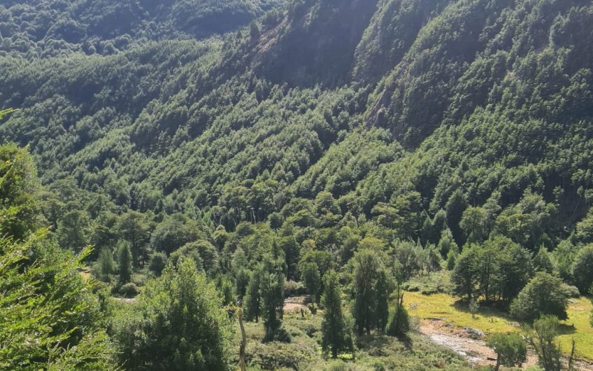 Se vende terreno de 50 hás. En Patagonia Chilena