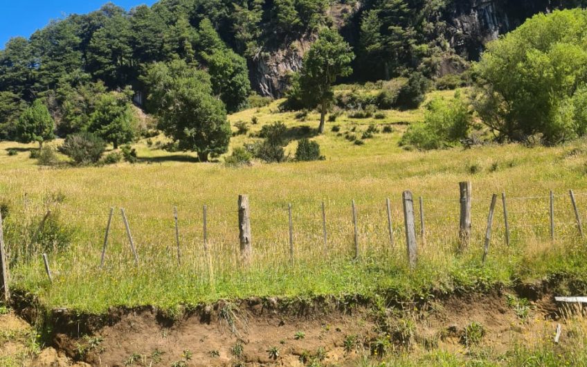 Se vende terreno de 50 hás. En Patagonia Chilena