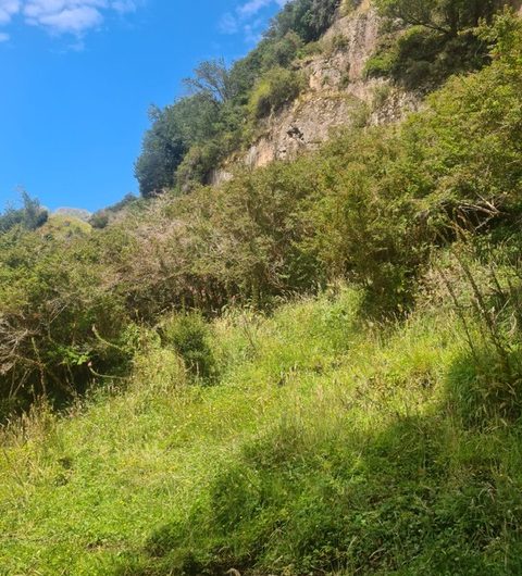 Se vende terreno de 50 hás. En Patagonia Chilena