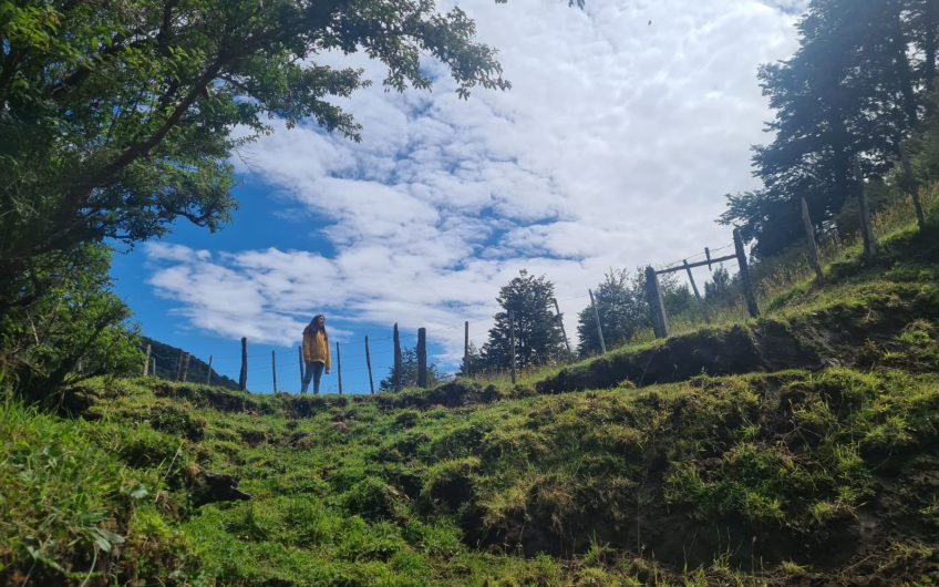 Se vende terreno de 50 hás. En Patagonia Chilena