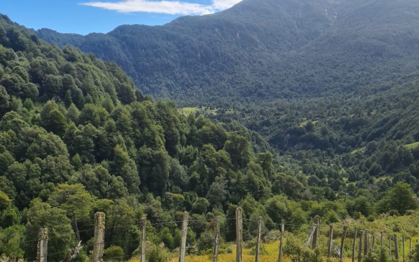 Se vende terreno de 50 hás. En Patagonia Chilena