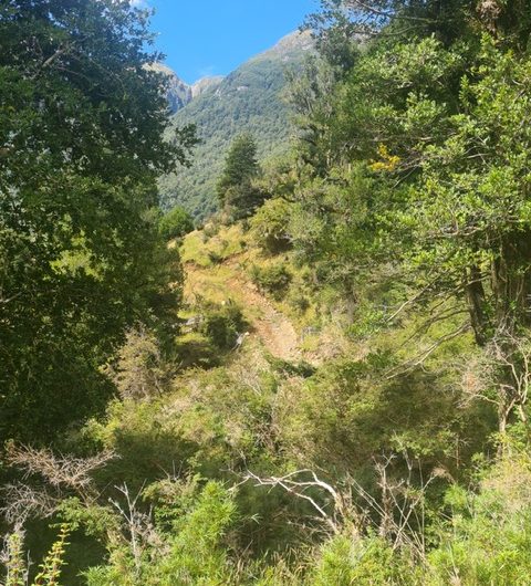 Se vende terreno de 50 hás. En Patagonia Chilena