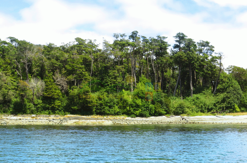 VENDE “ISLA en los Fiordos de Aysén Patagonia Chilena”