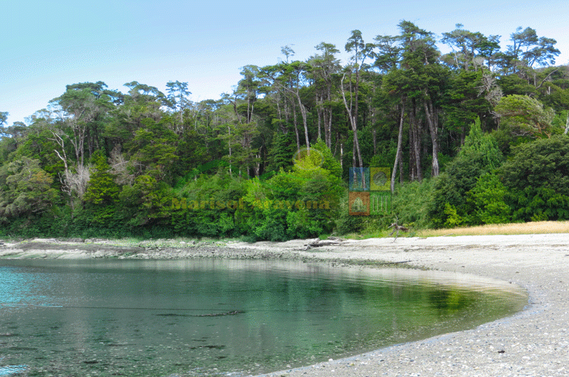 VENDE “ISLA en los Fiordos de Aysén Patagonia Chilena”