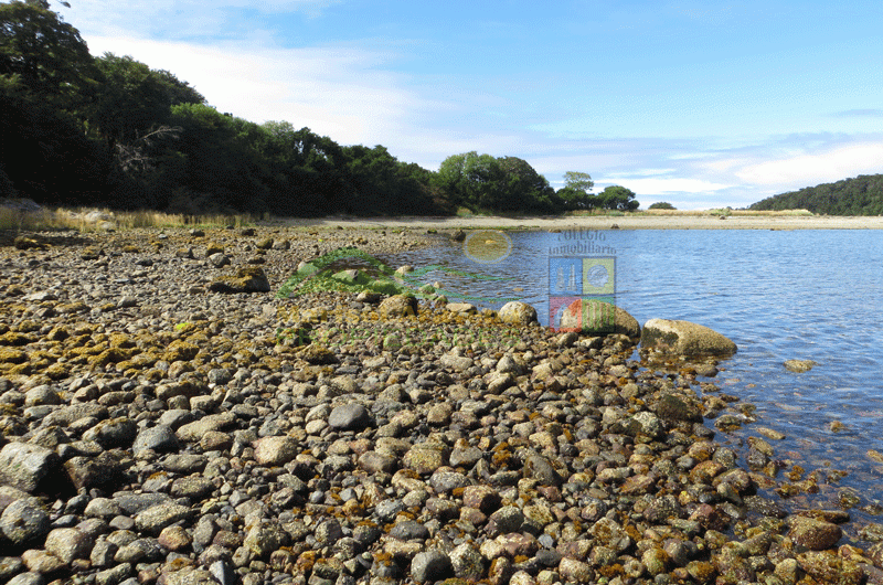 VENDE “ISLA en los Fiordos de Aysén Patagonia Chilena”
