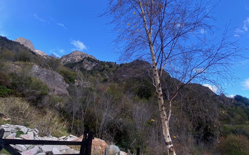 VENDE TERRENO EN SECTOR CAMINO A VILLA MAÑIHUALES COMUNA DE AYSEN PATAGONIA CHILENA.