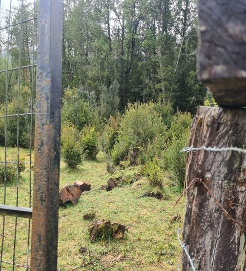 SE VENDE TERRENO EN PATAGONIA CHILENA.