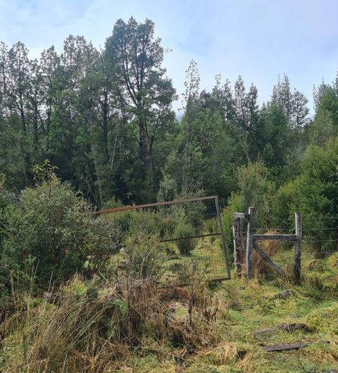 SE VENDE TERRENO EN PATAGONIA CHILENA.