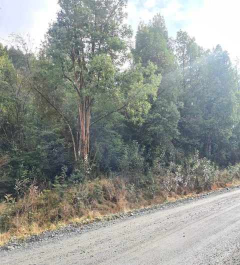 SE VENDE PARCELA EN PATAGONIA CHILENA
