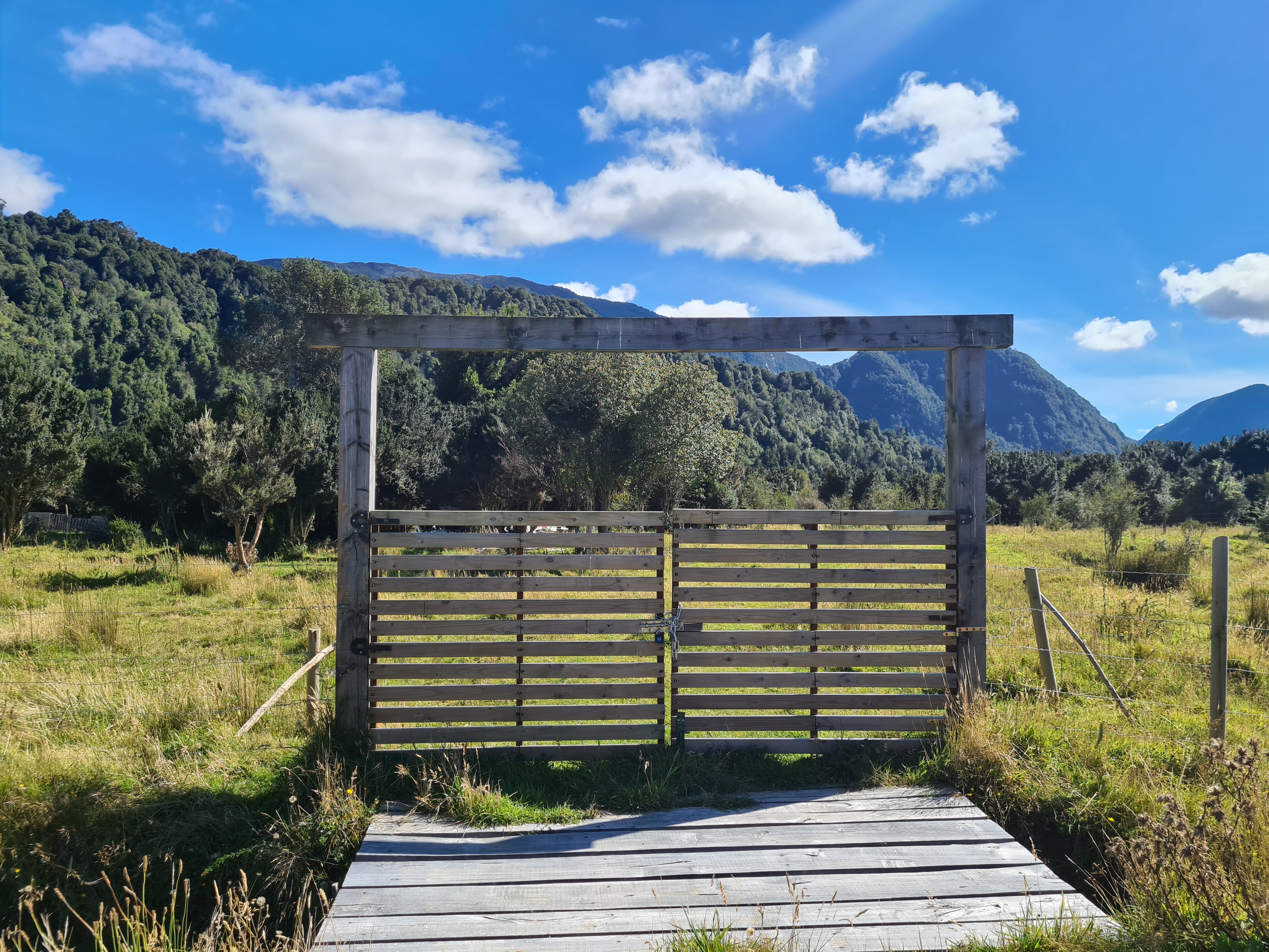 View of the land parcel showing the natural vegetation and surrounding trees