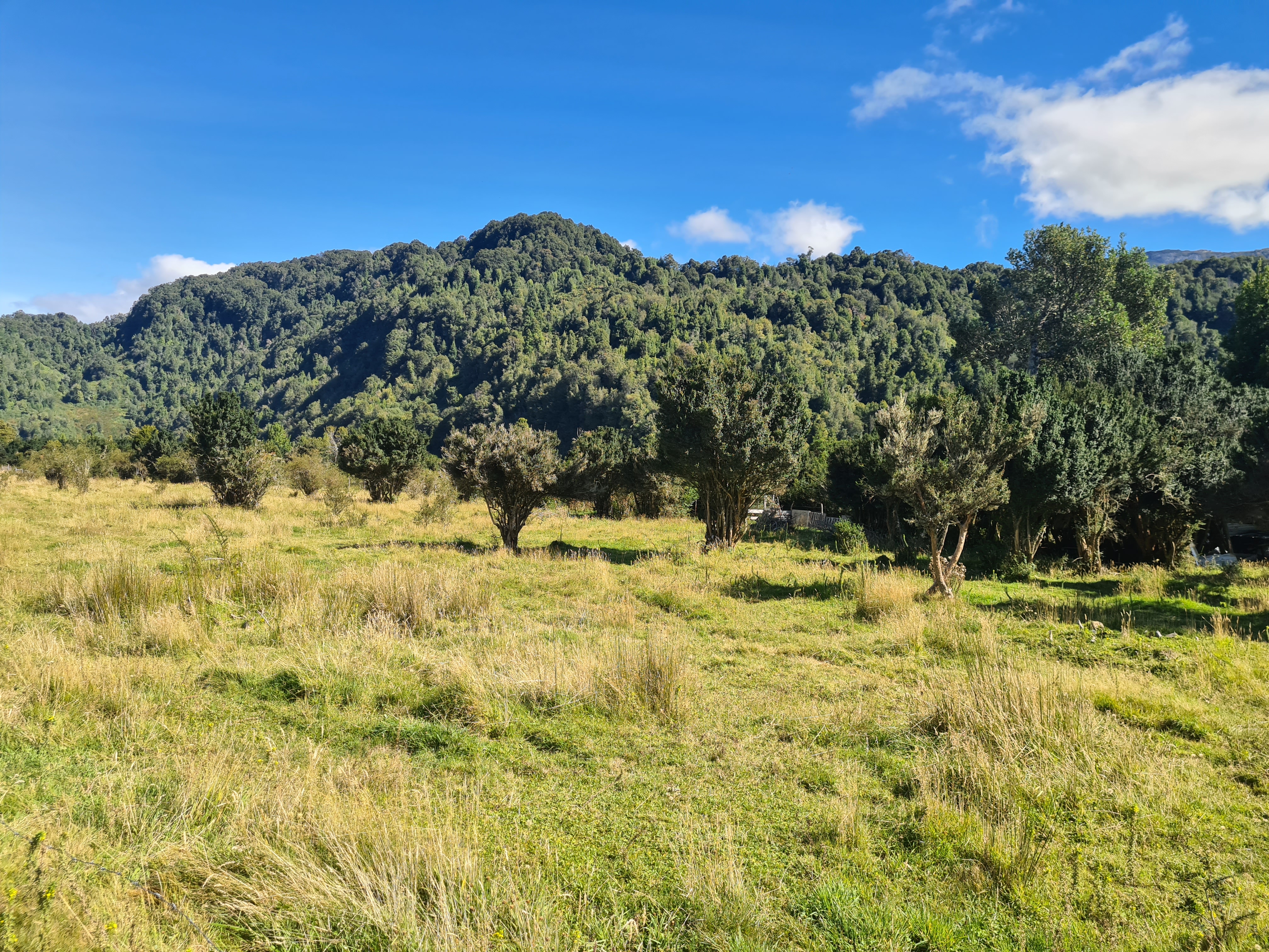 A wide shot of the land parcel showing its boundaries and potential building sites
