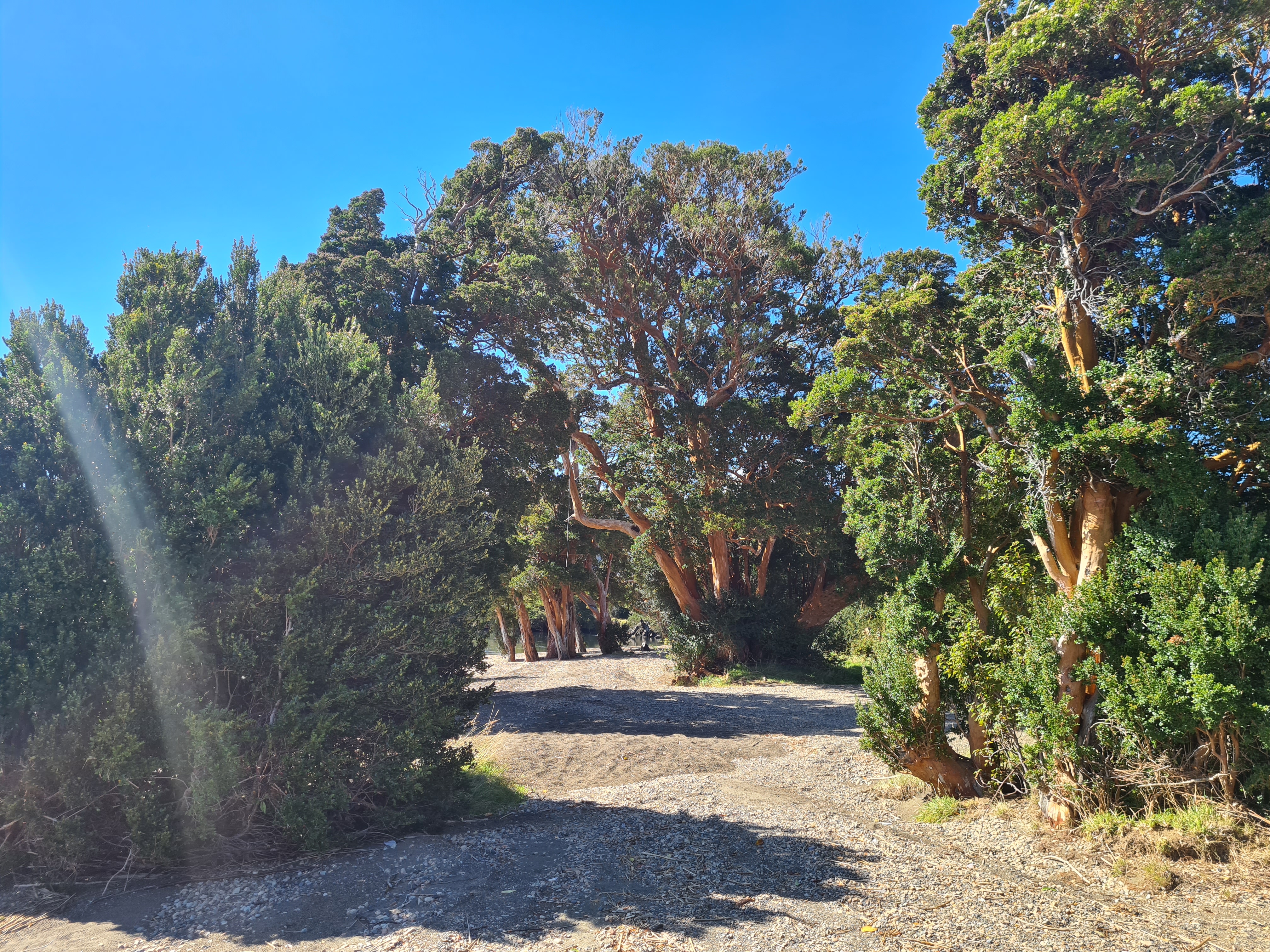 Close-up of the terrain and natural features of the land parcel