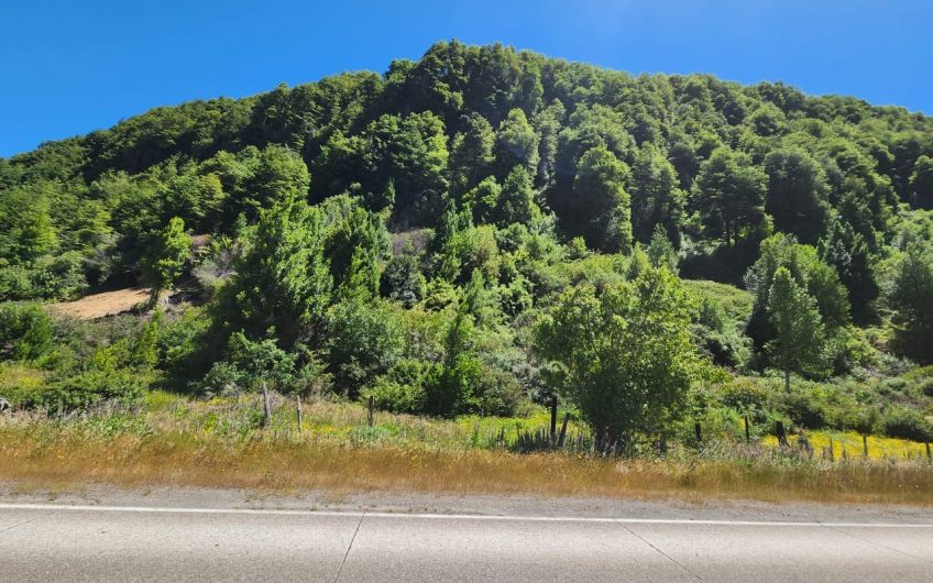 GRAN OPORTUNIDAD VENDE 5000m2 EN CARRETERA AUSTRAL REGION DE AYSEN PATAGONIA CHILENA – CHILE