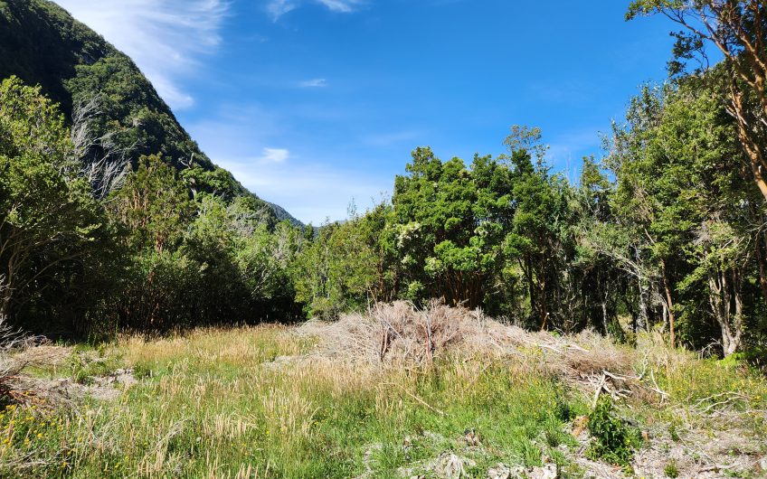 SE VENDE TERRENO CON DOS CASAS Y PLUS DE HERMOSO RÍO