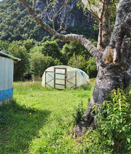SE VENDE TERRENO CON DOS CASAS Y PLUS DE HERMOSO RÍO