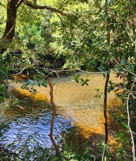 SE VENDE TERRENO CON DOS CASAS Y PLUS DE HERMOSO RÍO