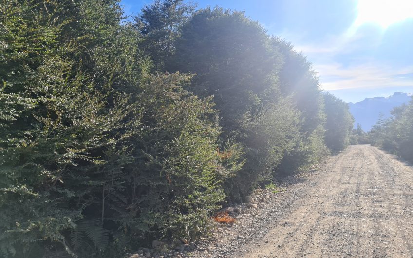 SE VENDE PARCELAS EN SECTOR RIO ALVAREZ COMUNA AYSEN.