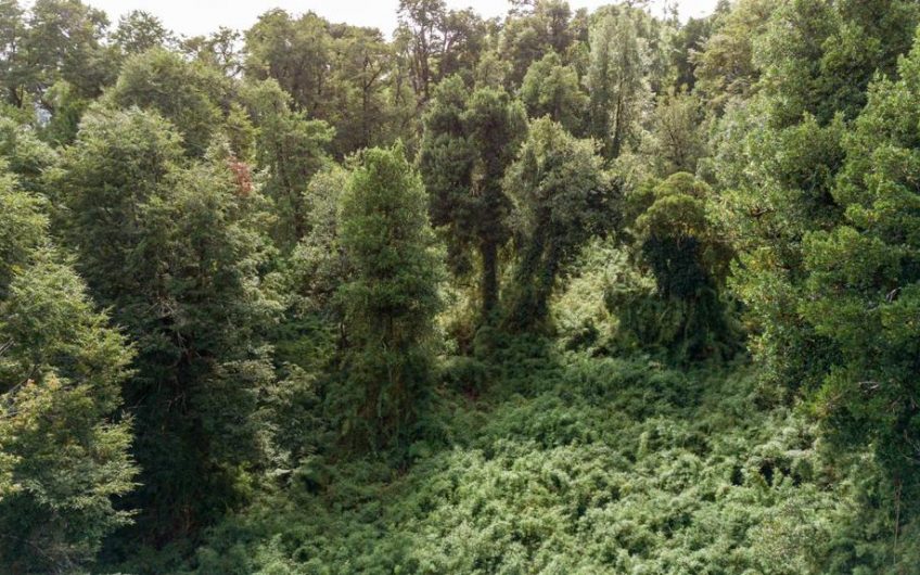 SE VENDE TERRENO DE 3 HECTÁREAS EN SECTOR BAHIA PLAYAS BLANCAS                                    FIORDO AYSÉN – PATAGONIA CHILENA