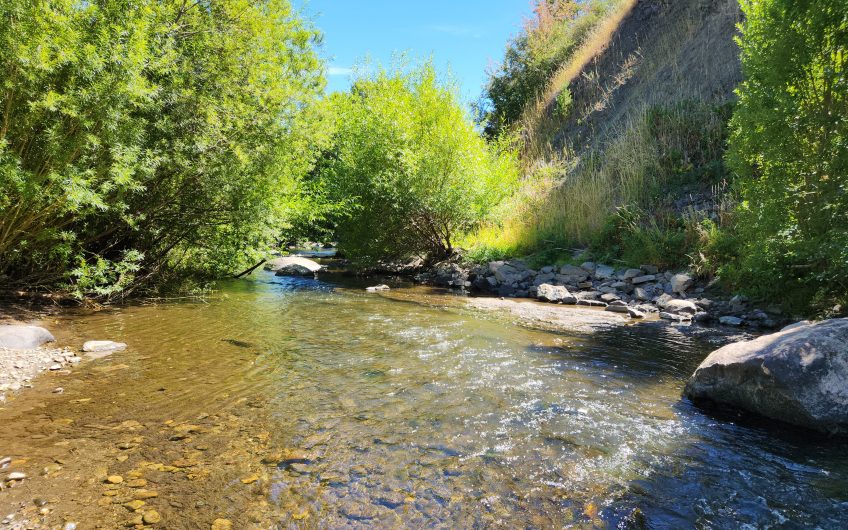 SE VENDE TERRENO CON ORILLA DE RIO EN COYHAIQUE – PATAGONIA CHILENA