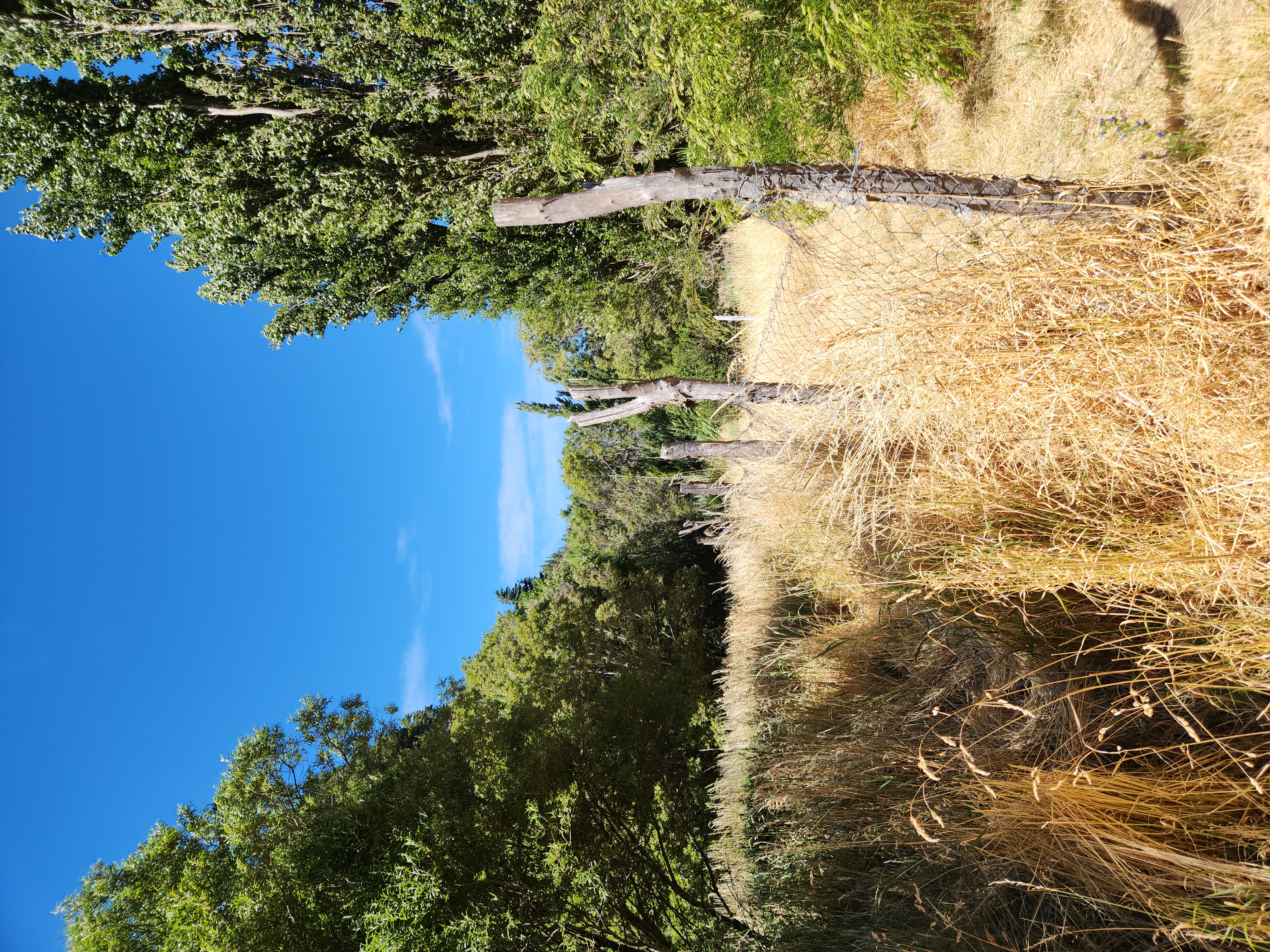 Close-up of the riverbank on the property